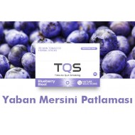 TQS - IQOS Yaban Mersini Kartuş